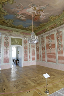 Baltic States Travel Prints: The Rose Room