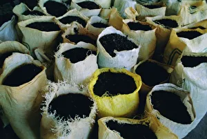 High Angle View Photography Prints: Sacks of tea