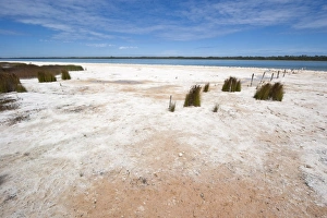 Salt and algal deposits at Lake Clifton, one of a string of coastal lakes south of Salt and algal deposits at Lake Clifton, one of a string of coastal lakes south of