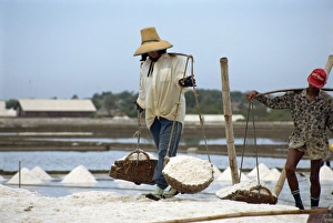 Salt workers Print, Bangkok, Thailand