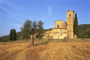 Siena Province Italy Prints: San Antimo abbey