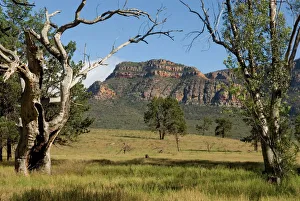 Sandstone escarpment above Wilpuna Valley, Flinders Ranges National Park, South Australia, Australia, Pacific Sandstone escarpment above Wilpuna Valley, Flinders Ranges National Park, South Australia, Australia, Pacific