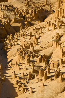 Madagascar Sandstone Formations Prints: Sandstone formations, Ankarafantsika National Park, Madagascar, Africa
