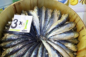 Sardines in Mercado Central (Central Market), Valencia, Spain, Europe Sardines in Mercado Central (Central Market), Valencia, Spain, Europe
