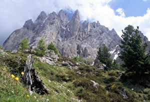 Dolomite Mountains Scenic Views Prints: Sassolungo range