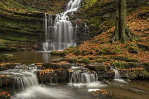 Yorkshire England Landscapes Prints: Scaleber Force waterfall in autumn, Yorkshire Dales National Park, Yorkshire, England