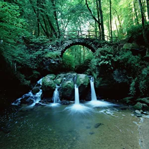 Prints of Schiessentumpel in the Mullerthal, Luxembourg, Europe Luxembourg Prints: Schiessentumpel Print, Mullerthal Luxembourg Landscape