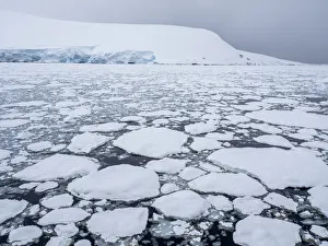 Sea ice forming as the temperature drops near Pleneau Island, Antarctica, Polar Regions Sea ice forming as the temperature drops near Pleneau Island, Antarctica, Polar Regions