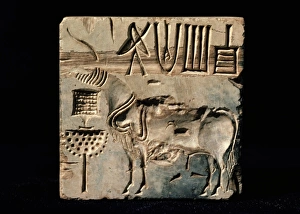 Indus Valley Civilization Prints: Seals from Mohenjodaro
