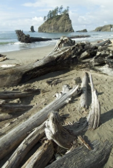 World Heritage Site USA Prints: Second Beach