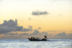Seine fisherman lay their nets from a boat in Castara Bay in Tobago at sunset, Trinidad and Tobago Seine fisherman lay their nets from a boat in Castara Bay in Tobago at sunset, Trinidad and Tobago