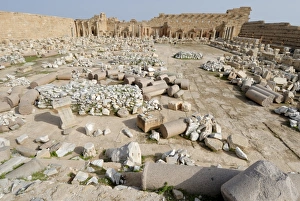 Severan Forum Print, Leptis Magna, Libya