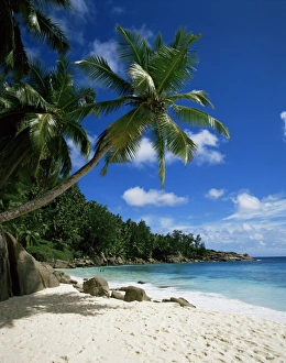 Seychelles Travel Photography Prints: Seychelles