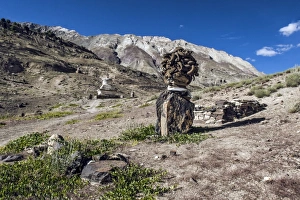 Shrine with Argyle Sheep horns and Blue sheep horns, lower Nyerak village, Ladakh Shrine with Argyle Sheep horns and Blue sheep horns, lower Nyerak village, Ladakh