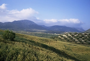 Colourful Mediterranean Scene Prints: Sierra de Tejeda
