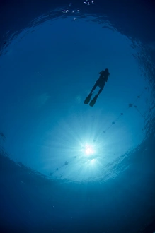 Silhouette of one scuba diver and sunball underwater, fish eye view, Egypt, North Africa, Africa Silhouette of one scuba diver and sunball underwater, fish eye view, Egypt, North Africa, Africa