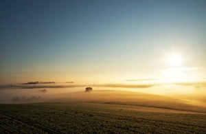 Misty Landscape Photography Prints: Single tree in a stream of slowly moving layers of mist, Baden-Wurttemberg, Germany