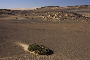 Coastal Scenery In Africa Prints: Skeleton Coast Park