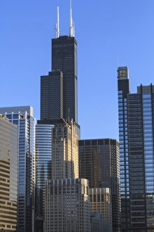North America Urban Scene Prints: Skyscrapers including Willis Tower