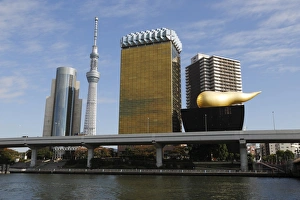Skytree Tower Print, Sumida Tokyo