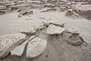 Small mushroom formations in the badlands, Bisti Wilderness, New Mexico, United States of America, North America Small mushroom formations in the badlands, Bisti Wilderness, New Mexico, United States of America, North America