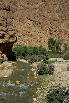 Travel Photography In Morocco Prints: Small river below rock cliffs