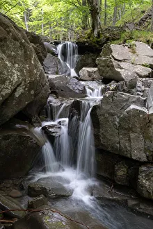 Small Waterfalls In Europe Prints: Small waterfall between rocks in the woods, Emilia Romagna, Italy, Europe
