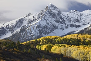 Sneffels Range Print with Fall Aspens near Ouray, Colorado