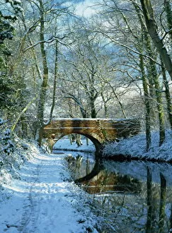 Images Dated 26th January 2000: Snow on the Basingstoke Canal, Staceys bridge and towpath, Winchfield