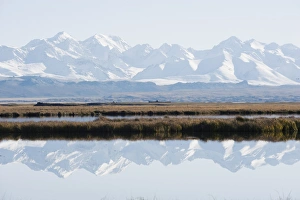Snow mountains reflected in a lake, Bayanbulak, Xinjiang Province, China, Asia Snow mountains reflected in a lake, Bayanbulak, Xinjiang Province, China, Asia