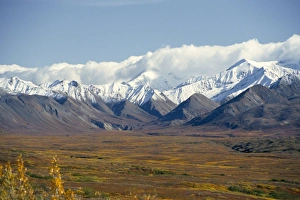 Natural World Scenic Views Prints: Snowline on Alaska Range