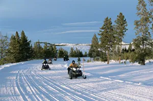 Snowmobiling in the western area of Yellowstone National Park Snowmobiling in the western area of Yellowstone National Park