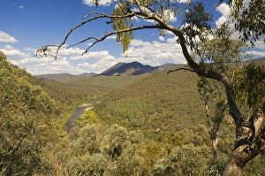 Snowy River valley, Snowy River National Park, Victoria, Australia, Pacific Snowy River valley, Snowy River National Park, Victoria, Australia, Pacific