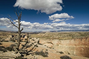 US Desert Landscape Photography Prints: SP021994