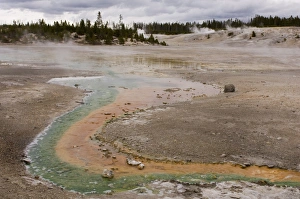 Norris Geyser Basin Prints: SP022093