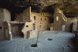 World Heritage Site USA Prints: Spruce tree house
