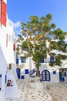 Cyclades Greek Islands Prints: Square with blossoming tree, whitewashed buildings, blue sky, Mykonos Town, Mykonos