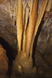 Stalactites creating a column with stalagmite below at Ngilgi Cave Stalactites creating a column with stalagmite below at Ngilgi Cave