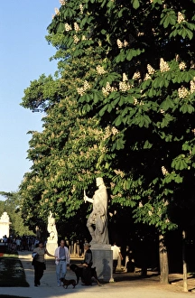 European Park Scenery Prints: Statue and chestnut trees in the park