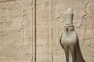 Images Dated 26th February 2007: Statue of the falcon, sacred bird of Horus, at the entrance of the Temple of Edfu