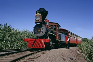 Historic Steam Train Prints: Steam train from 1860
