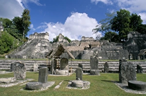 Central American Archaeology Prints: Stelae in foreground