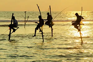Stilt fishermen, Dalawella, Sri Lanka, Indian Ocean, Asia Stilt fishermen, Dalawella, Sri Lanka, Indian Ocean, Asia