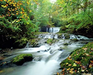 Stock Ghyll Beck, Ambleside, Lake District, Cumbria, England Stock Ghyll Beck, Ambleside, Lake District, Cumbria, England