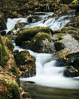 Stock Ghyll Force Waterfalls, Ambleside, Lake District, Cumbria, England, United Kingdom Stock Ghyll Force Waterfalls, Ambleside, Lake District, Cumbria, England, United Kingdom