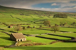 Stone barns and dry stone walls in beautiful Wensleydale in the Yorkshire Dales National Stone barns and dry stone walls in beautiful Wensleydale in the Yorkshire Dales National