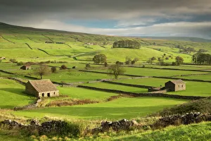 Stone barns and dry stone walls in the rolling countryside of Wensleydale near Hawes Stone barns and dry stone walls in the rolling countryside of Wensleydale near Hawes