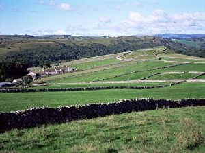 Derbyshire Countryside Prints: Stone walls and field patterns, Wardlow, Derbyshire, England, United Kingdom, Europe