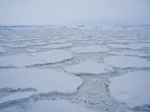 Stormy weather over pack ice and icebergs near Adelaide Island, Antarctica, Polar Regions Stormy weather over pack ice and icebergs near Adelaide Island, Antarctica, Polar Regions