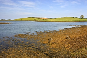 Strangford Lough, County Down, Ulster, Northern Ireland, United Kingdom, Europe Strangford Lough, County Down, Ulster, Northern Ireland, United Kingdom, Europe